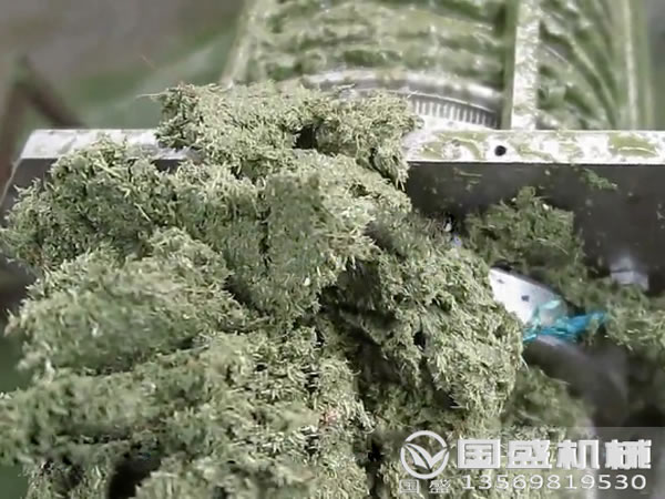 白菜壓榨機