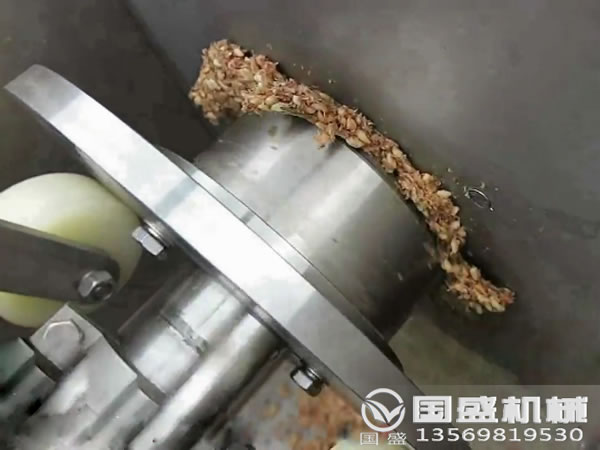 不鏽鋼雙螺旋壓榨機