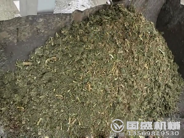 大型中藥渣壓榨機