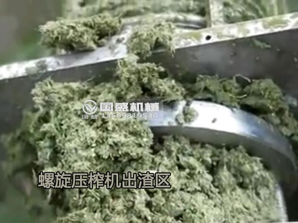 大白菜擠壓脫水